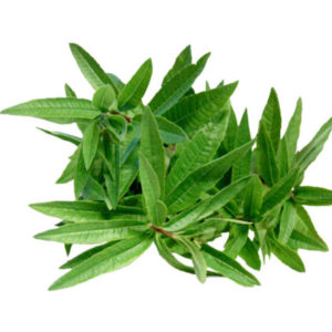 Citronella
