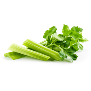 Sedano