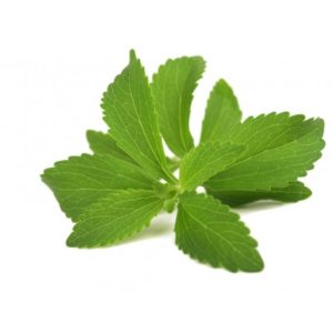 Stevia